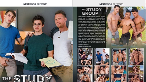 The Study Group